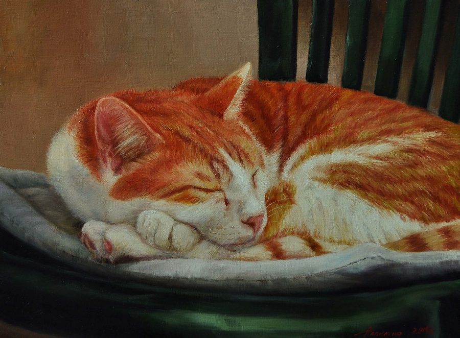  Рыжее счастье , х.м., 45х60, 2014