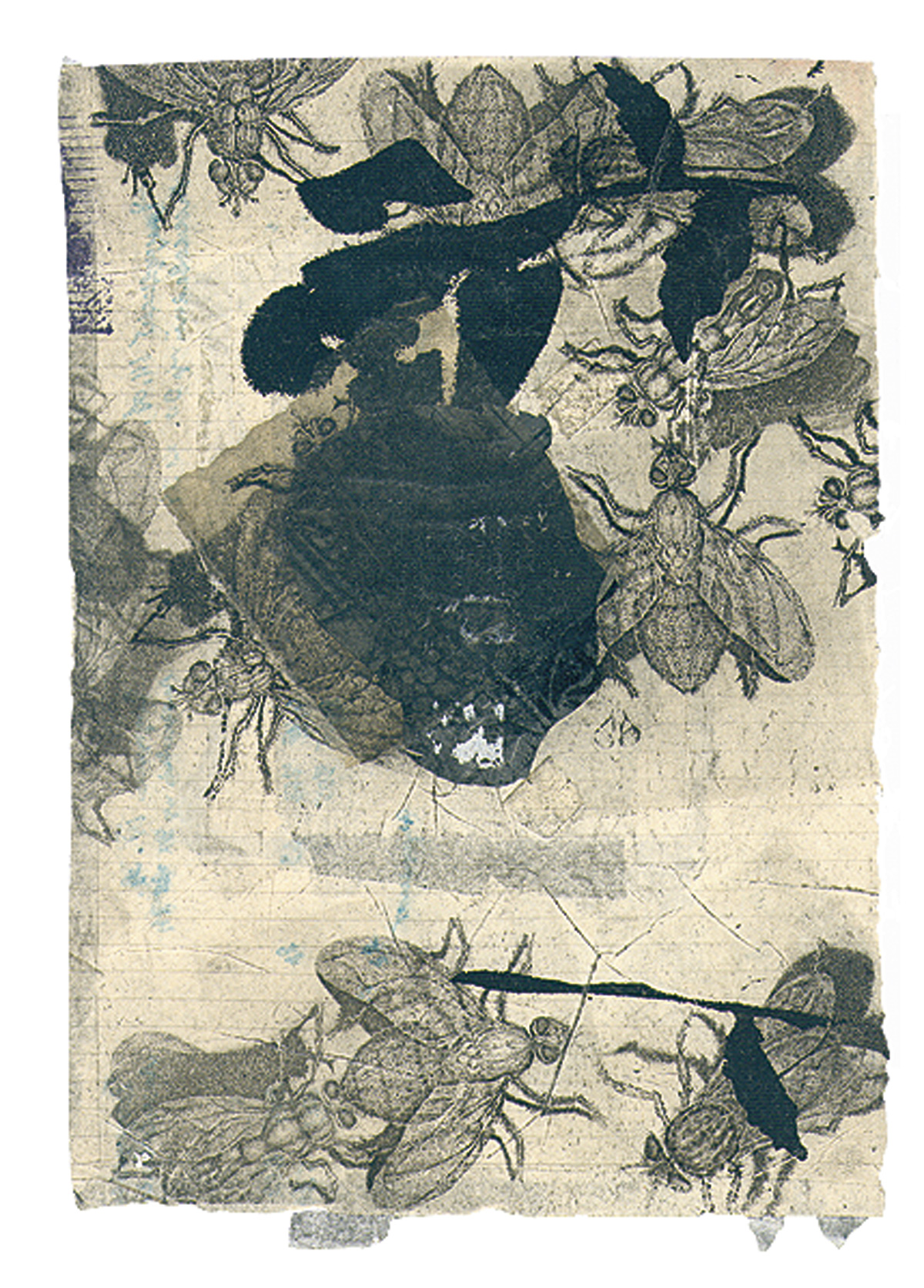 N/a